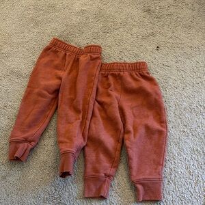 Cat and jack sweats size 2t
